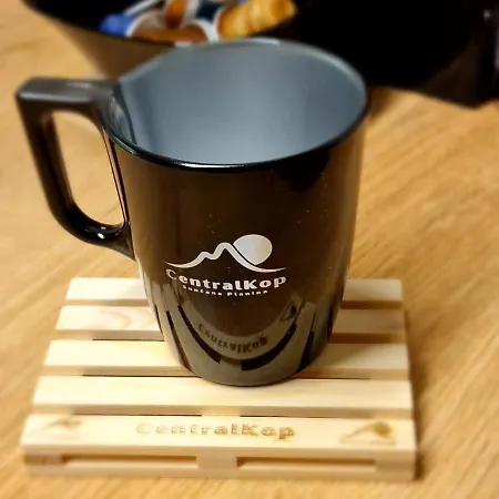 Centralkop Appartamento Kopaonik