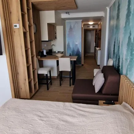 Apartment Centralkop Kopaonik