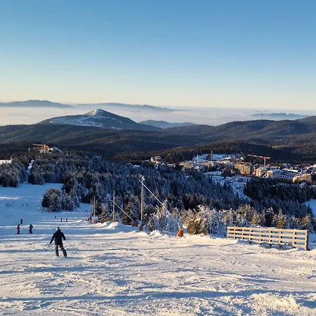 Centralkop アパート